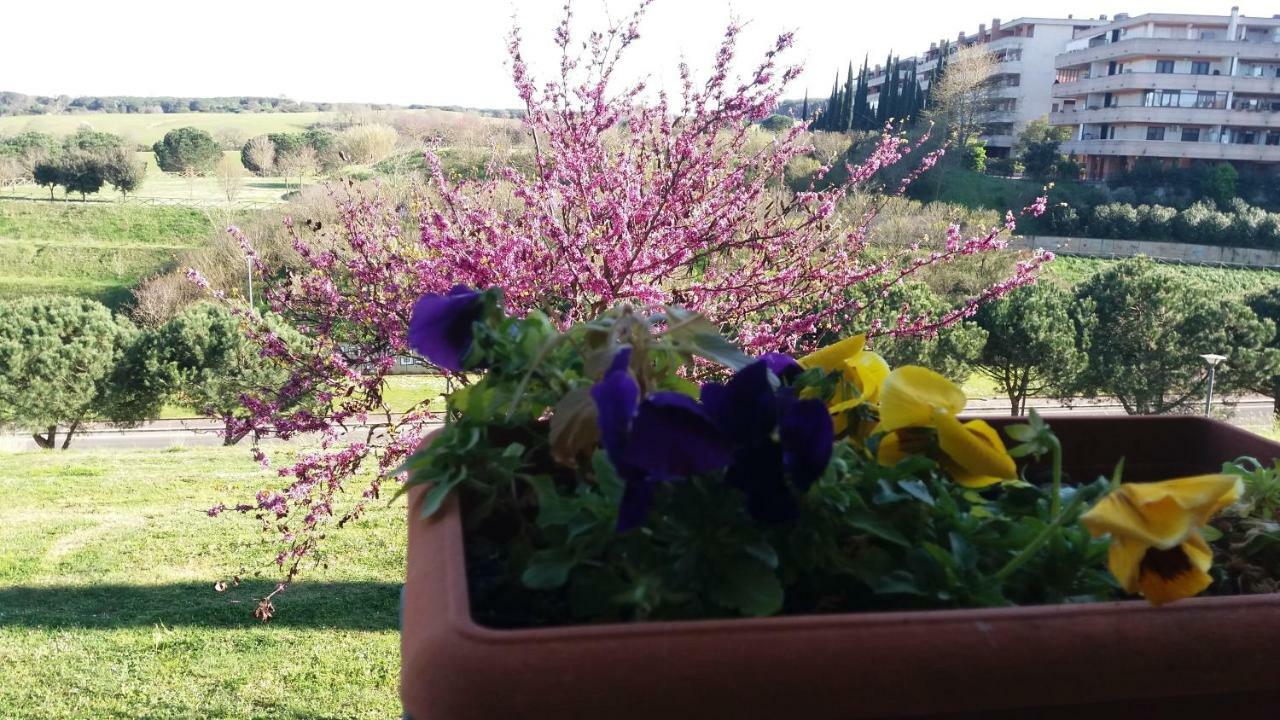 B&B Colline Verdi Vitinia Bagian luar foto
