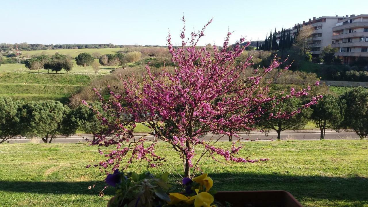 B&B Colline Verdi Vitinia Bagian luar foto
